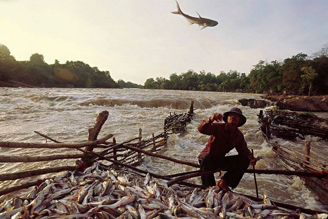 don sahong
