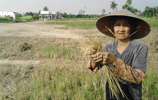 mekong 