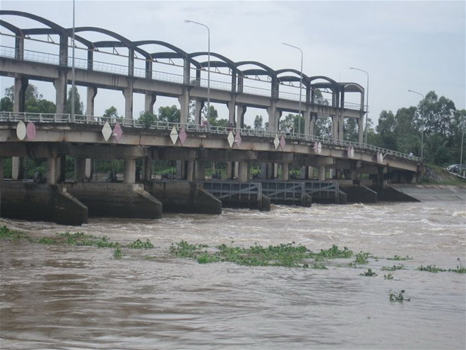 cống ngăn mặn ĐBSCL