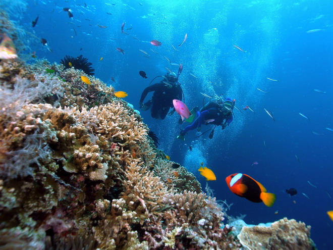 CO2 ở đáy biển