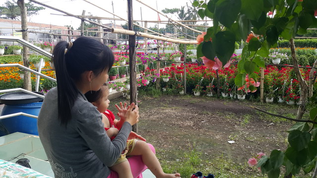 hoa kiểng cái mơn bến tre