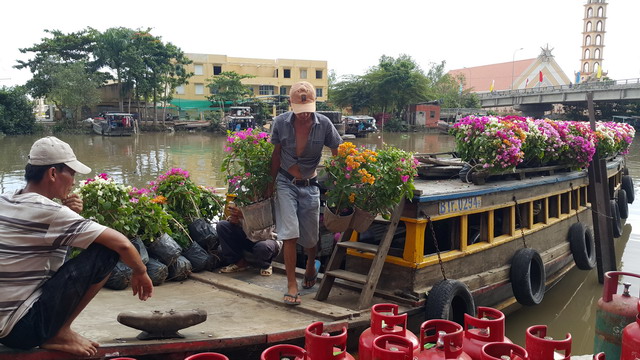 hoa kiểng cái mơn bến tre