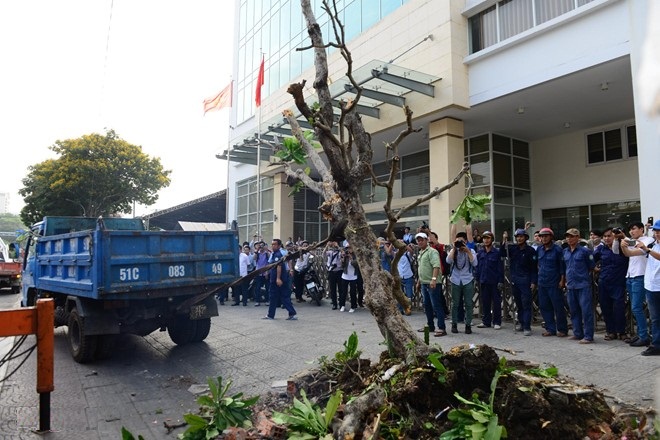 Tu via he Sai Gon nhin sang via he Paris, London hinh anh 3