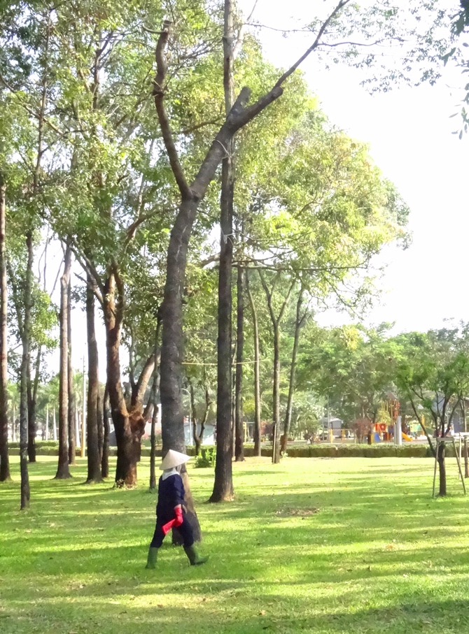 chặt cây xanh tôn đức thắng